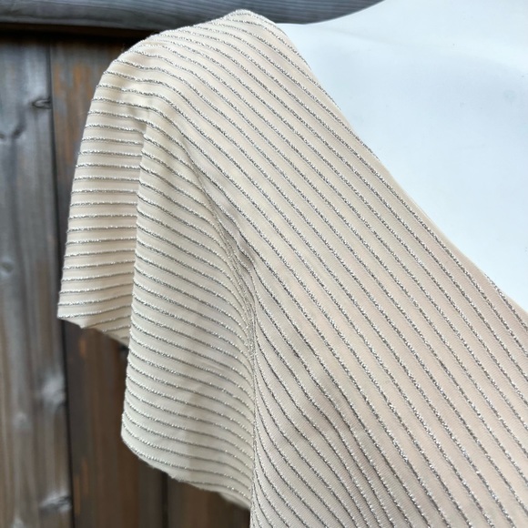 FINAL PRICE: VILA Clothes Cream Colored V-Neck Dress with Silver Pencil Stripes - Picture 5 of 6